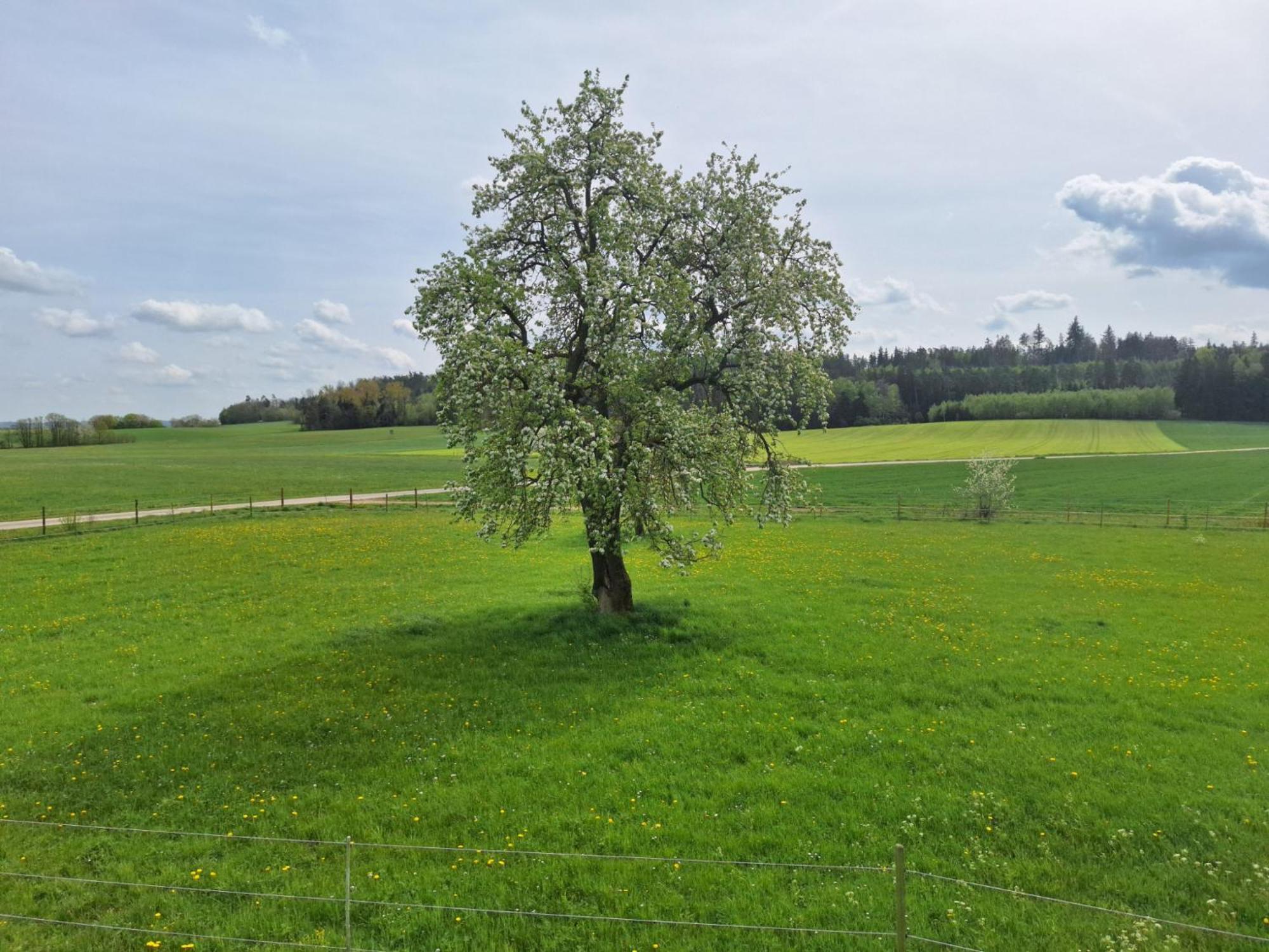 Gaestehaus Plath Wettringen  Zewnętrze zdjęcie